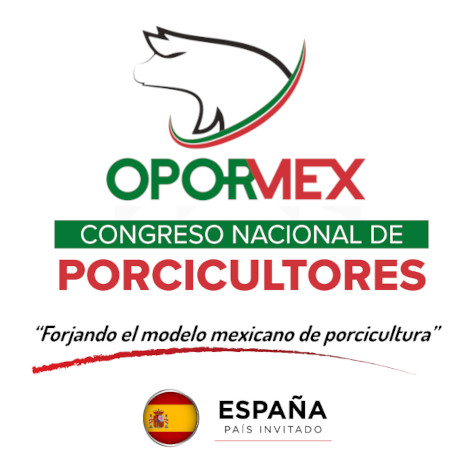 i+Porc participa como invitado en el congreso OPORMEX