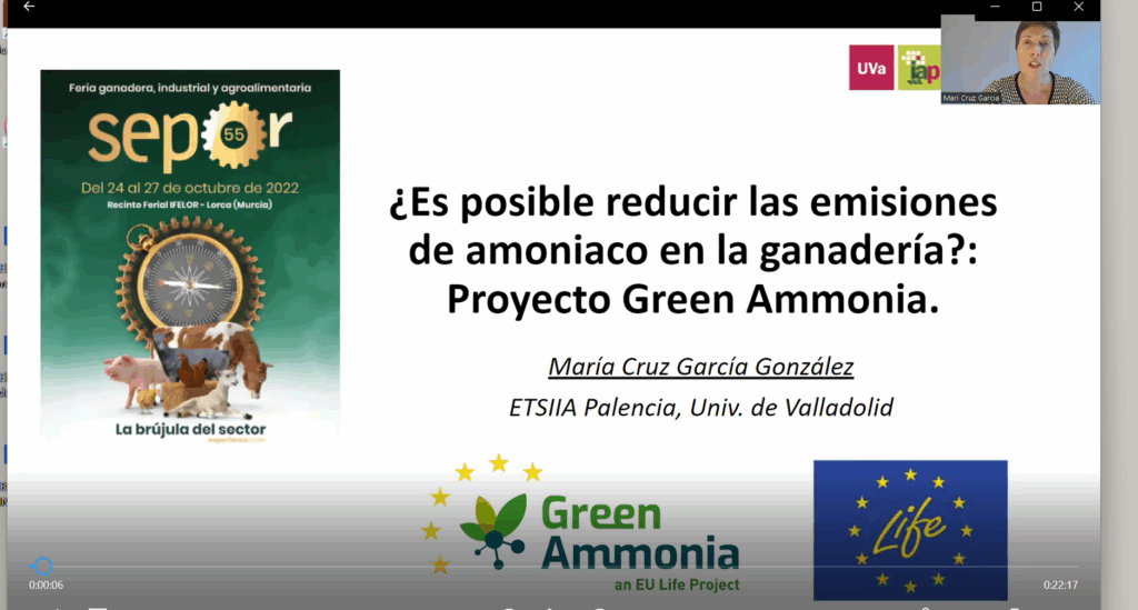 i+porc Cluster español de productores de ganado porcino