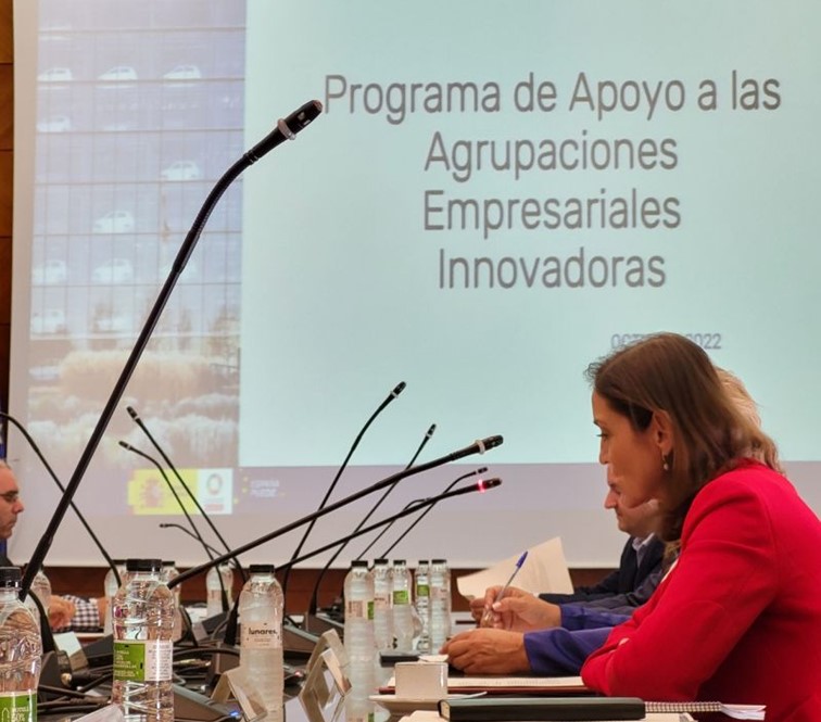 Apoyo al Programa de Ayudas a Agrupaciones Empresariales Innovadoras