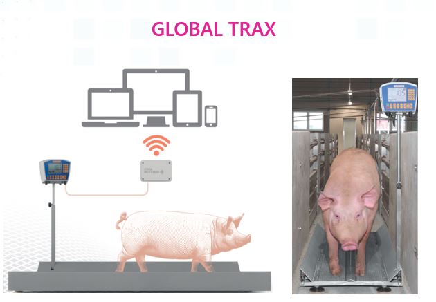 El proyecto Global-TRAX termina el periodo de ejecución con buenos resultados