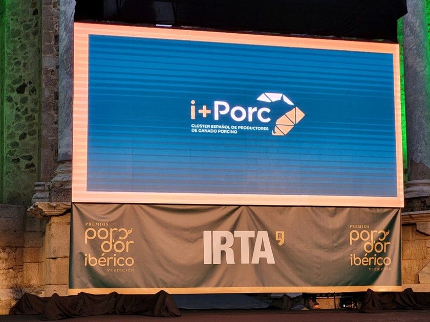 i+porc Cluster español de productores de ganado porcino i+Porc patrocina la celebración de los premios Porc d’Or Ibérico 2022