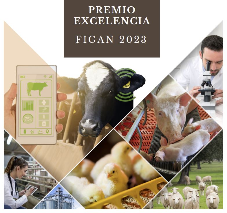 i+porc Cluster español de productores de ganado porcino Premio Excelencia FIGAN 2023: animamos a nuestros socios a participar