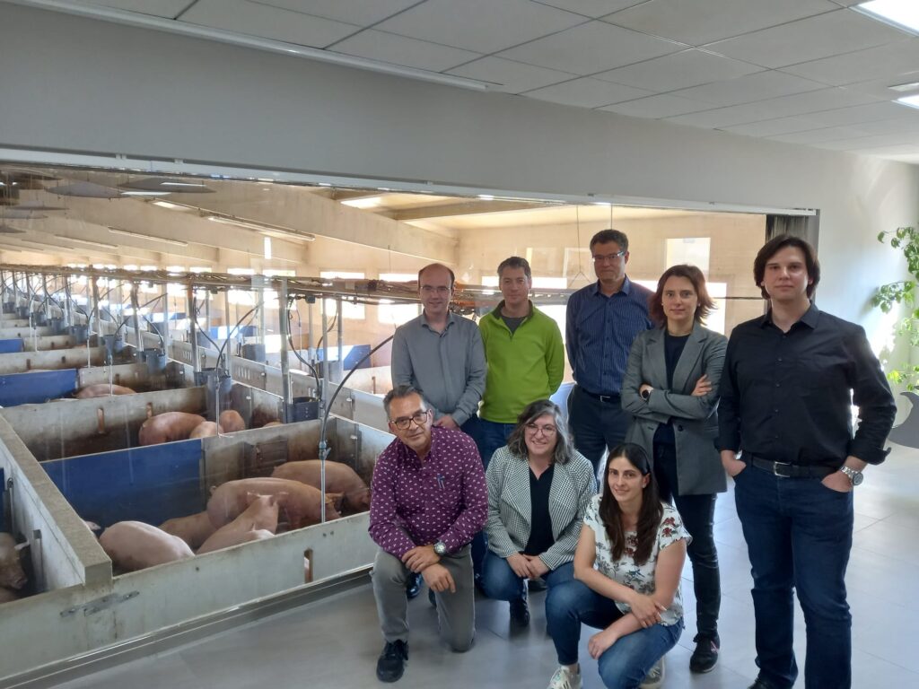 i+porc Cluster español de productores de ganado porcino i+porc Cluster español de productores de ganado porcino