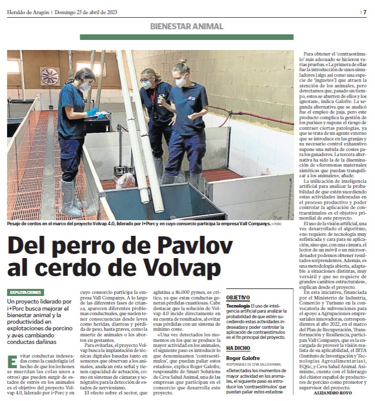i+porc Cluster español de productores de ganado porcino i+porc Cluster español de productores de ganado porcino