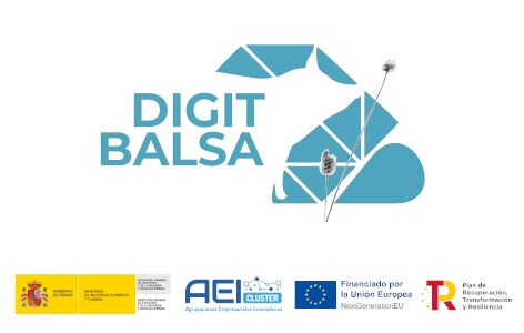 Finaliza el proyecto DIGIT-BALSA