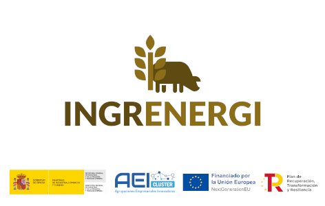 Finaliza el proyecto INGRENERGI
