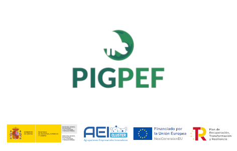Finaliza el proyecto PIGPEF