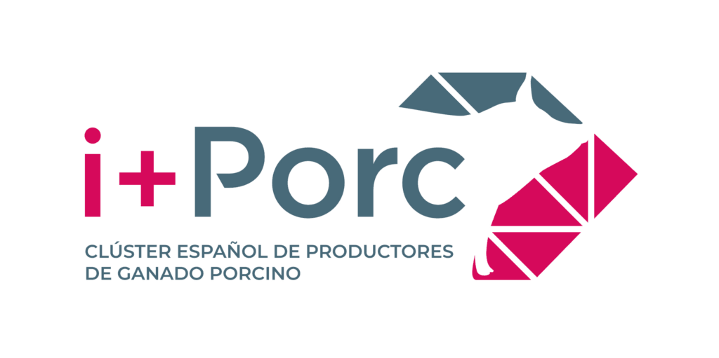 i+porc Cluster español de productores de ganado porcino