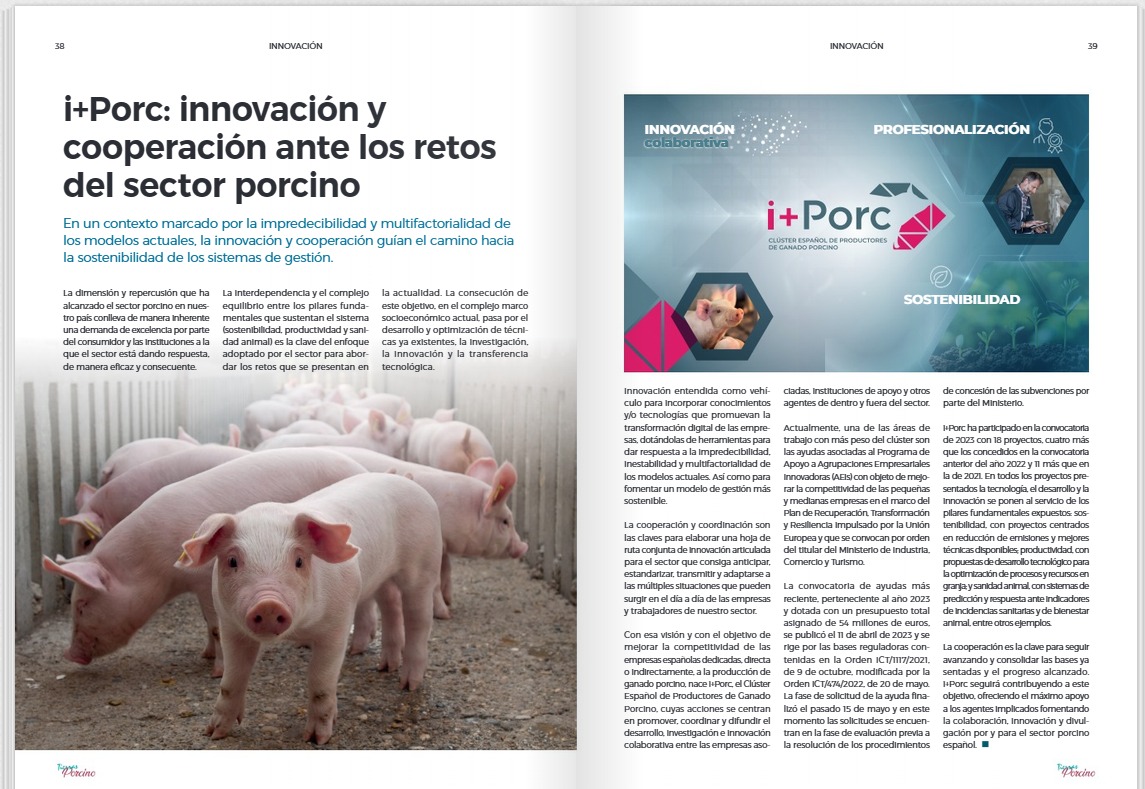 Se publica en Tierras de Porcino el artículo «i+Porc: innovación y cooperación ante los retos del sector porcino»