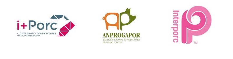 Plan Comunicación Estratégico de i+Porc presentación a Interporc y Anprogapor
