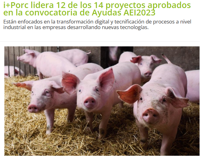i+Porc colabora con la revista digital Portal Veterinaria para la difusión de los 14 proyectos AEI2023