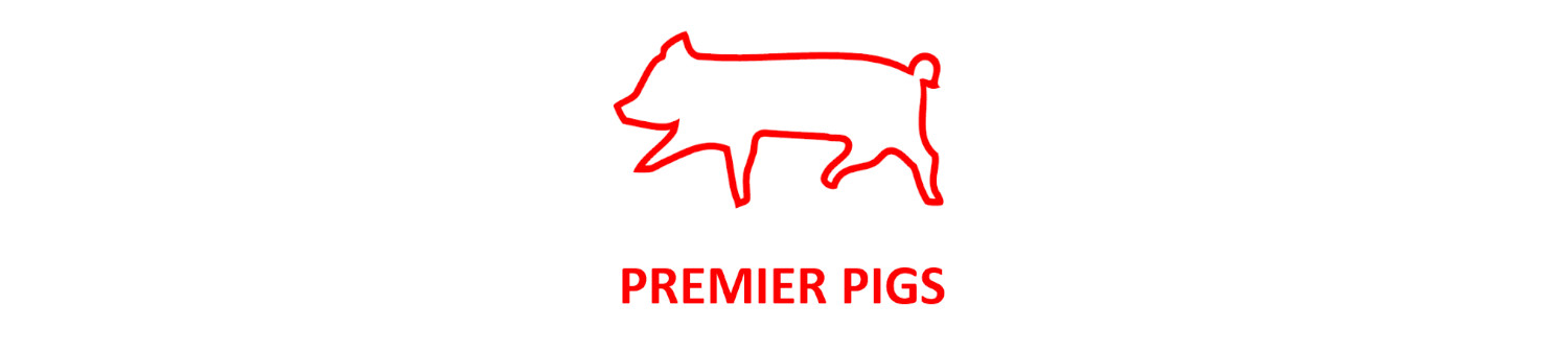 Nuevo socio productor: Premier Pigs