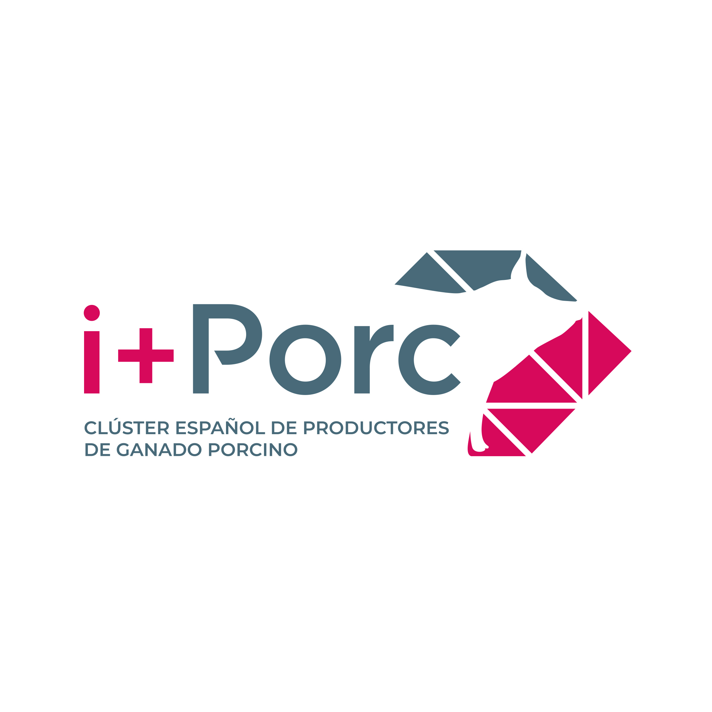 i+porc Cluster español de productores de ganado porcino
