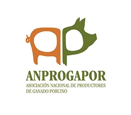 i+porc Cluster español de productores de ganado porcino