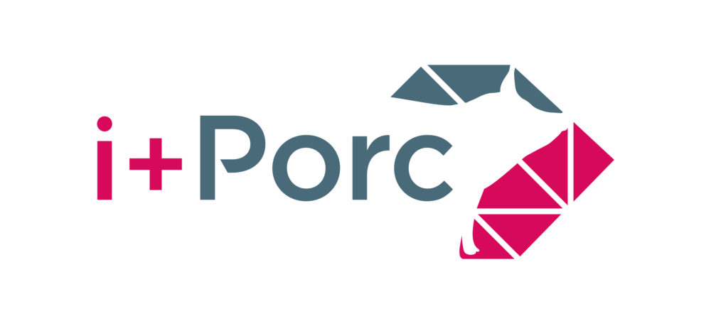 Logo i+Porc