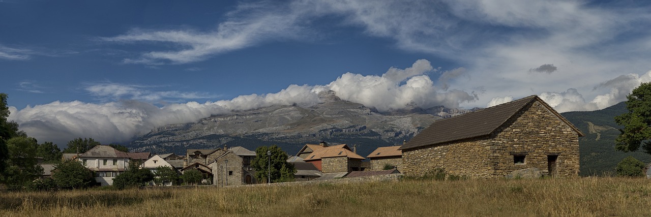 i+porc Cluster español de productores de ganado porcino