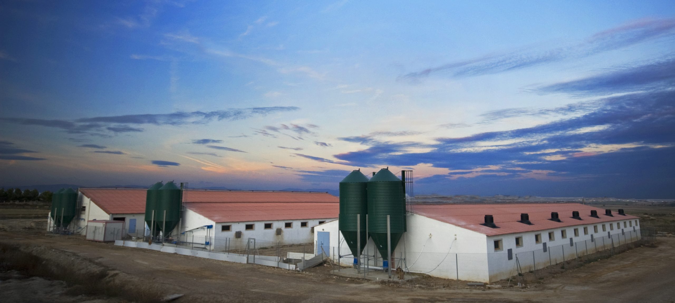 Jornada final ciclo de sesiones de transferencia tecnológica en MTD en el sector porcino coordinada por i+Porc