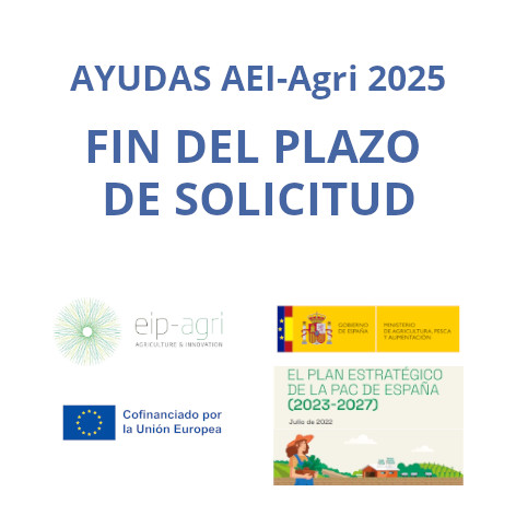 i+Porc participa en 8 propuestas presentadas a la convocatoria de Grupos Operativos Supraautonómicos del MAPA (AEI-Agri) para el año 2025