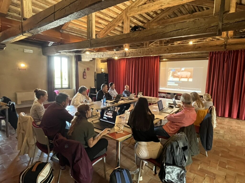 Heraldo de Aragón destaca el papel de i+Porc en la formación digital para el sector porcino: proyectos Erasmus+