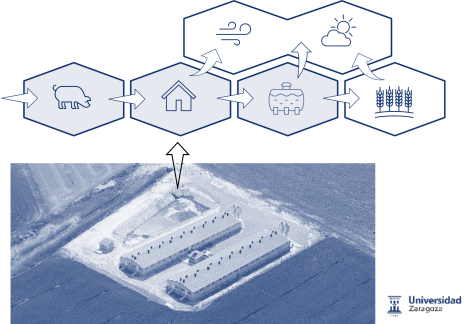 i+porc Cluster español de productores de ganado porcino