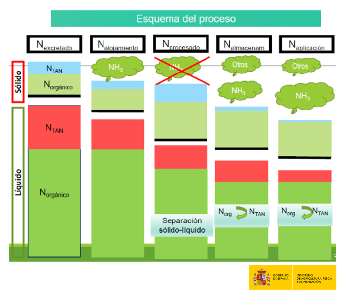 i+porc Cluster español de productores de ganado porcino