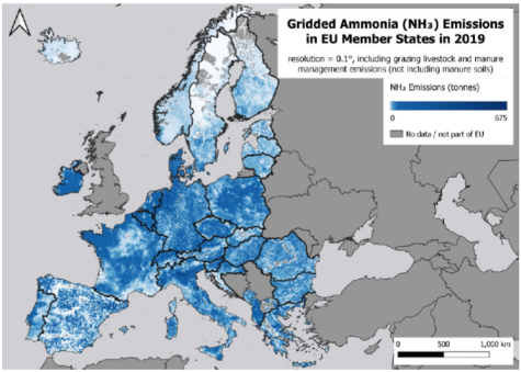 i+porc Cluster español de productores de ganado porcino