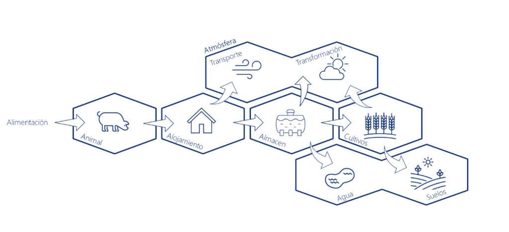 i+porc Cluster español de productores de ganado porcino