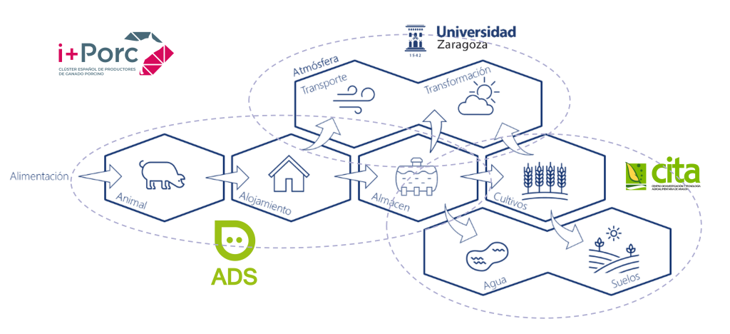 i+porc Cluster español de productores de ganado porcino