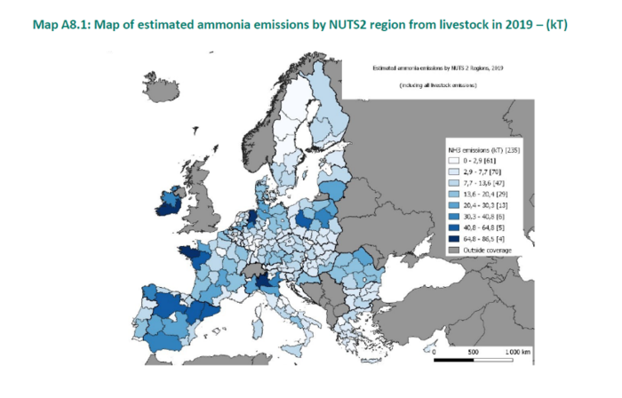 i+porc Cluster español de productores de ganado porcino