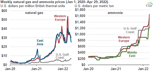 i+porc Cluster español de productores de ganado porcino