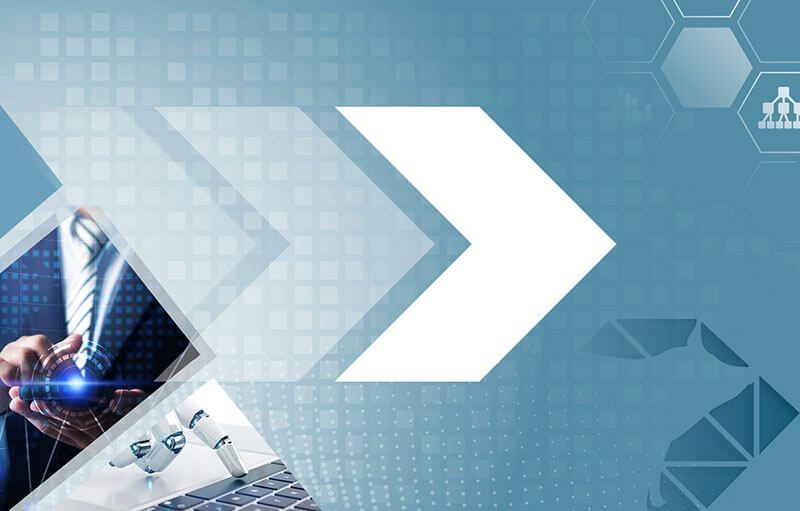 i+porc Cluster español de productores de ganado porcino