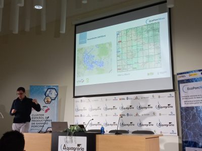 i+porc Cluster español de productores de ganado porcino