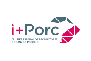 i+porc Cluster español de productores de ganado porcino