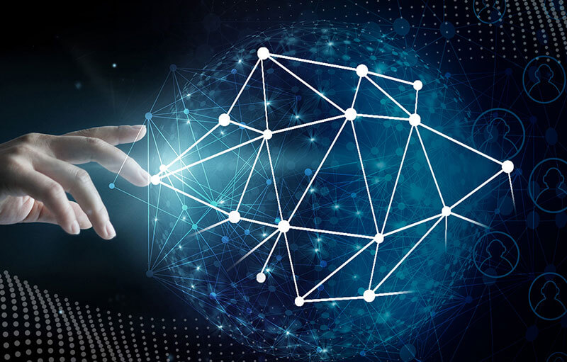 i+porc Cluster español de productores de ganado porcino