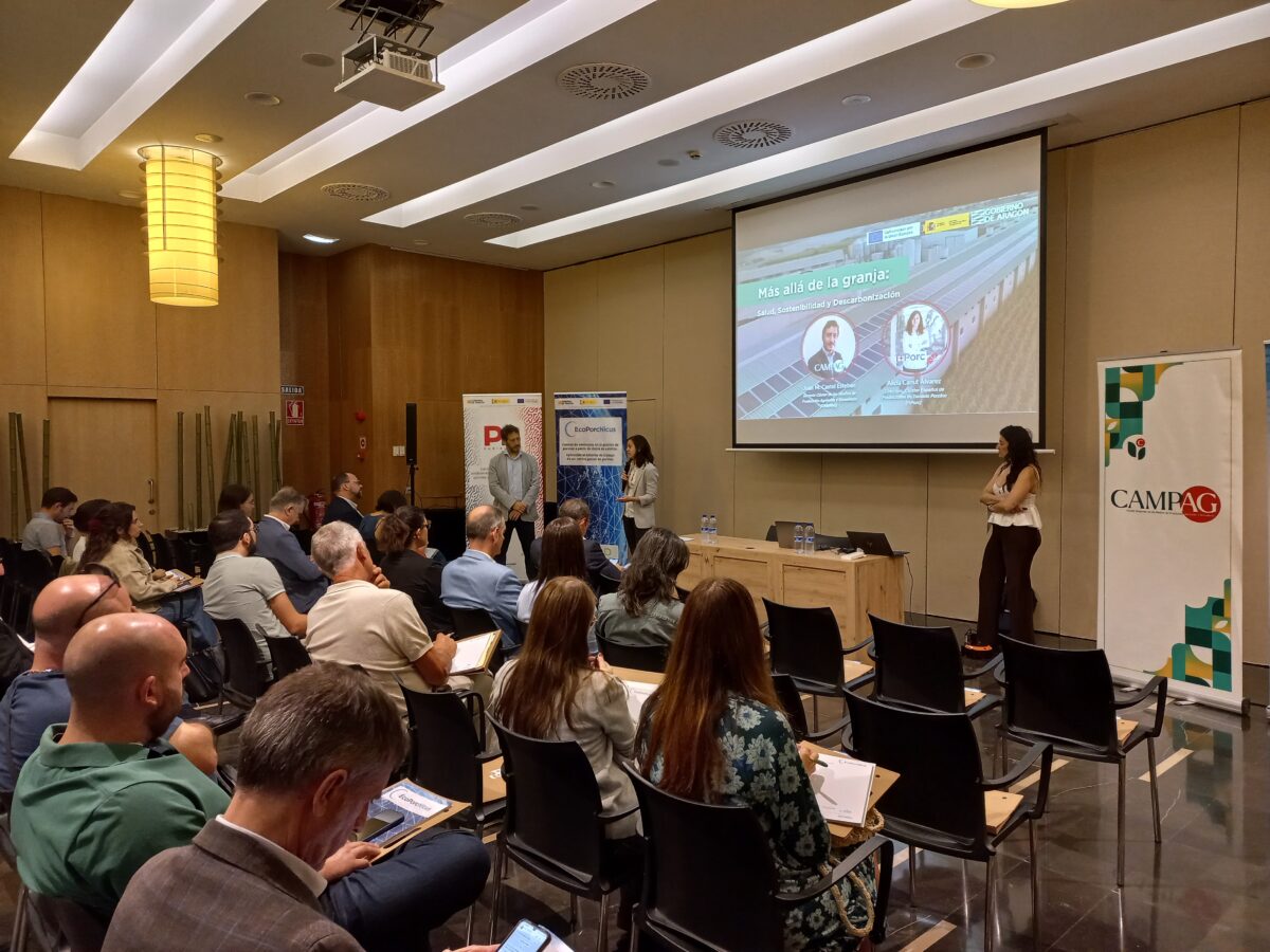 i+porc Cluster español de productores de ganado porcino