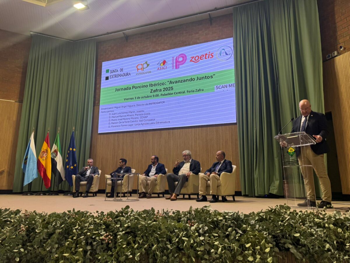 i+porc Cluster español de productores de ganado porcino