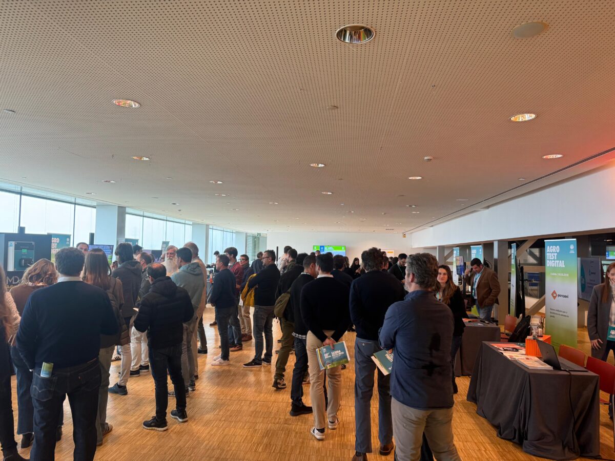 i+porc Cluster español de productores de ganado porcino