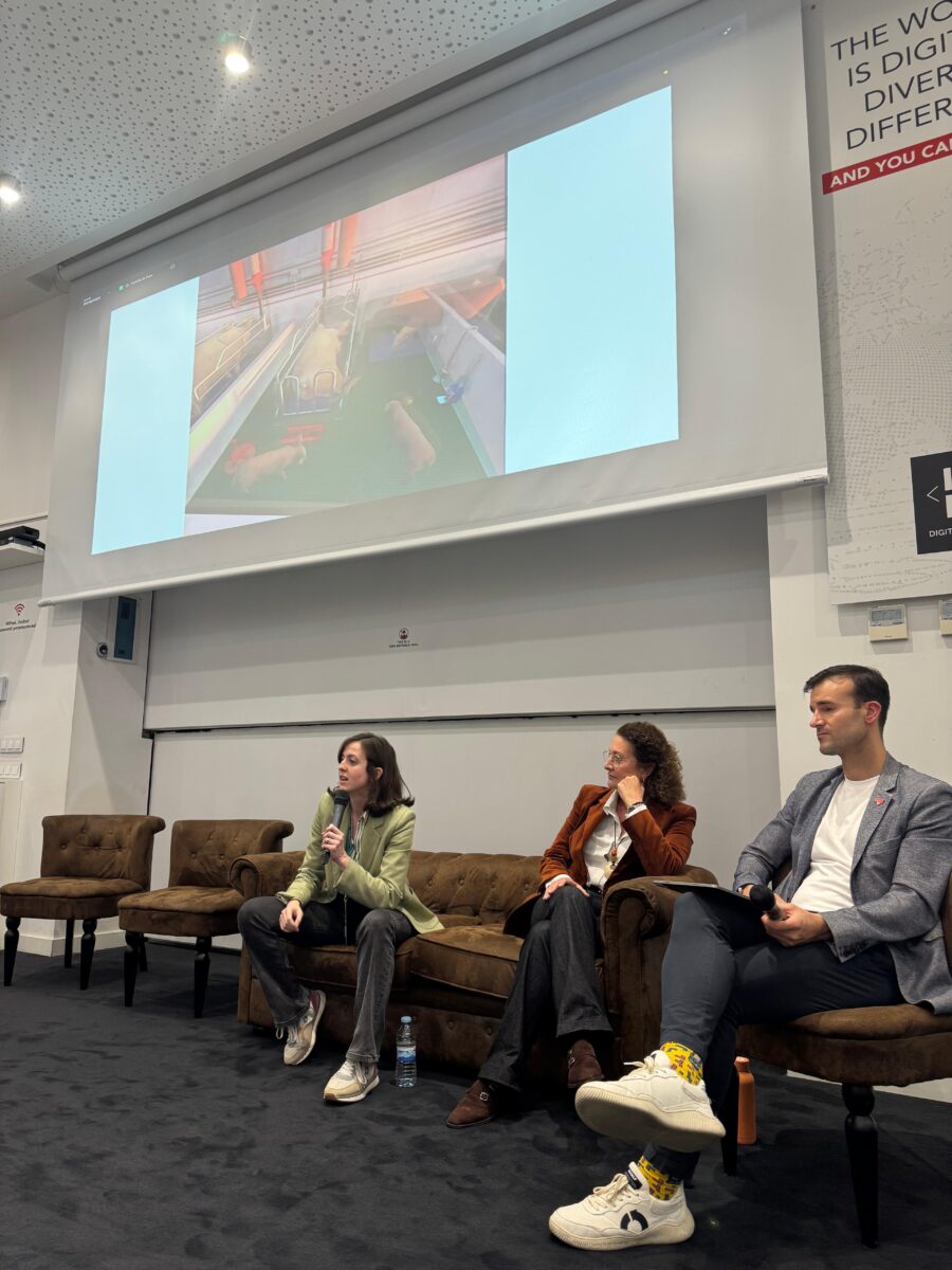 i+porc Cluster español de productores de ganado porcino