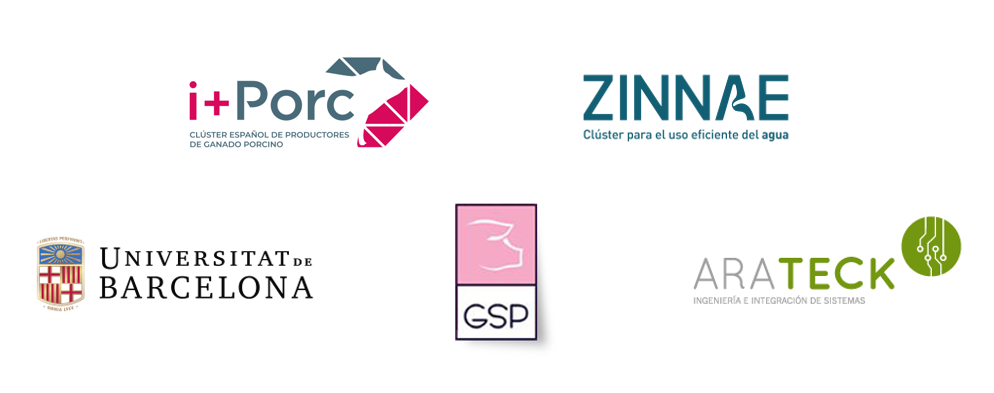 i+porc Cluster español de productores de ganado porcino Aprobado el proyecto AmBViPur en la convocatoria AEI2025