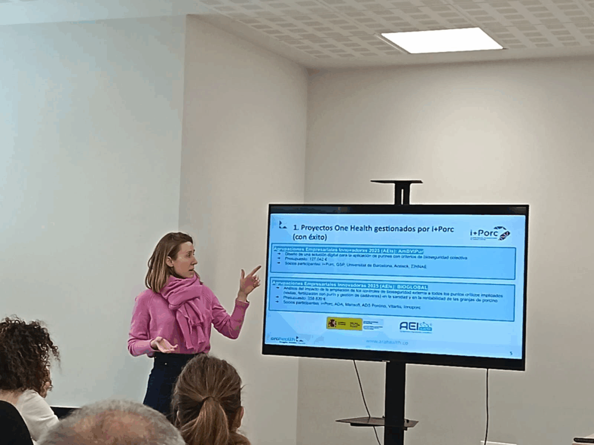 i+porc Cluster español de productores de ganado porcino