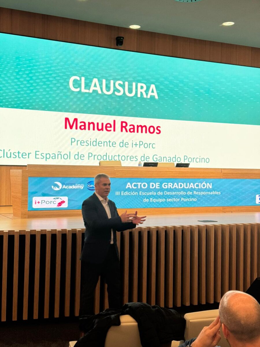 i+porc Cluster español de productores de ganado porcino