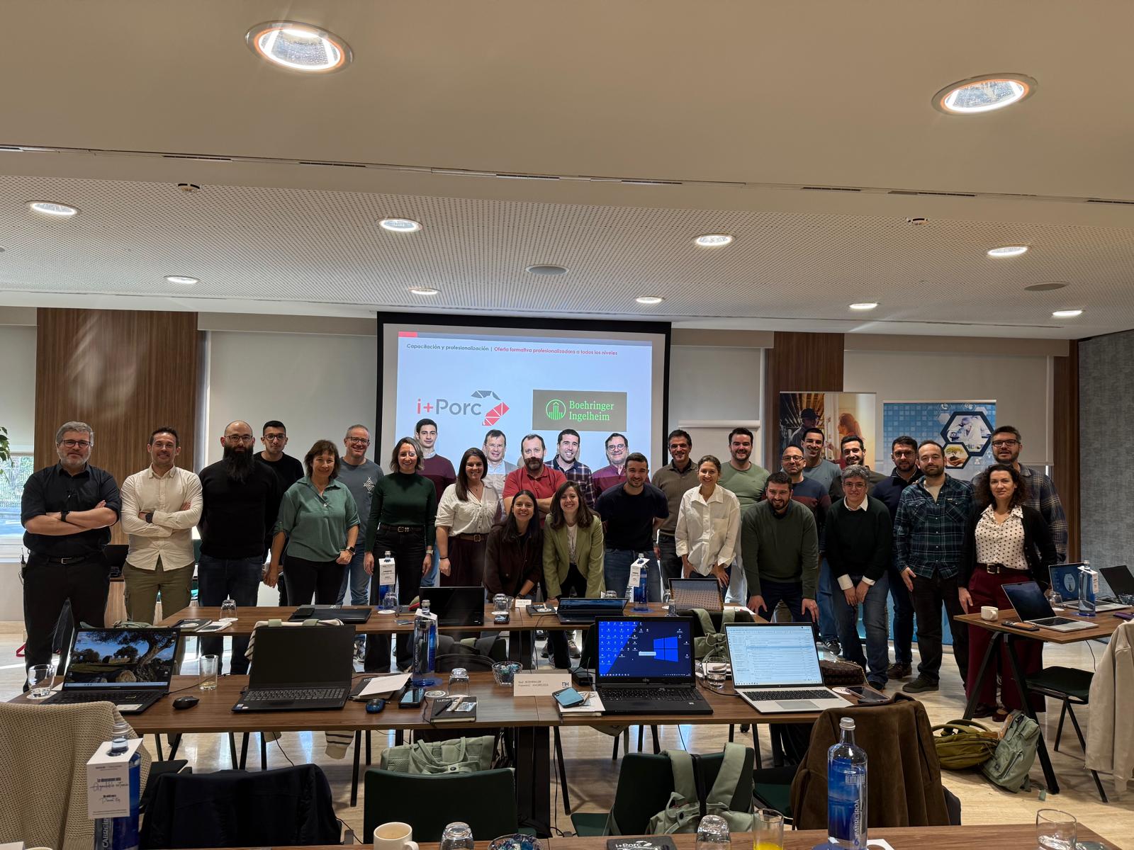 i+porc Cluster español de productores de ganado porcino