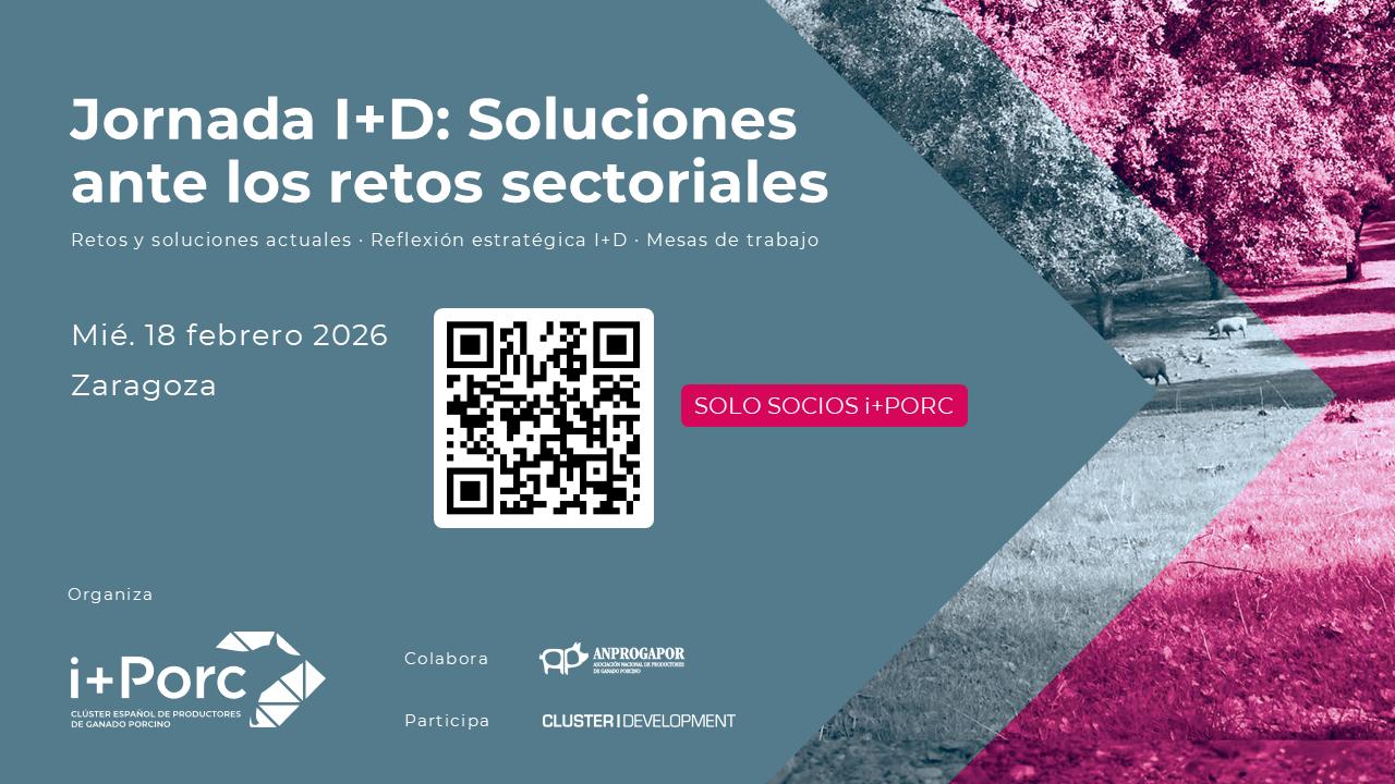 i+porc Cluster español de productores de ganado porcino i+porc Cluster español de productores de ganado porcino