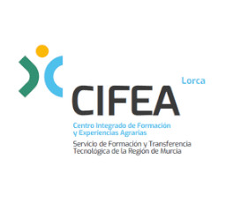 i+porc Cluster español de productores de ganado porcino