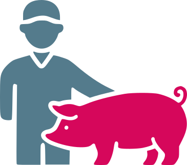 i+porc Cluster español de productores de ganado porcino Icono fomento vocacional: hombre y cerdo