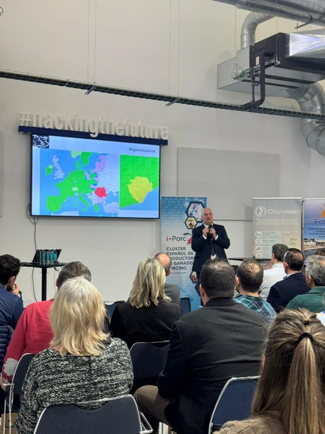 i+porc Cluster español de productores de ganado porcino