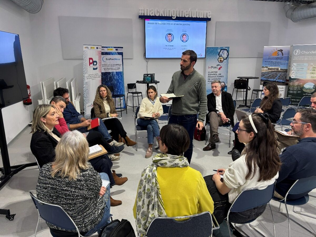 i+porc Cluster español de productores de ganado porcino