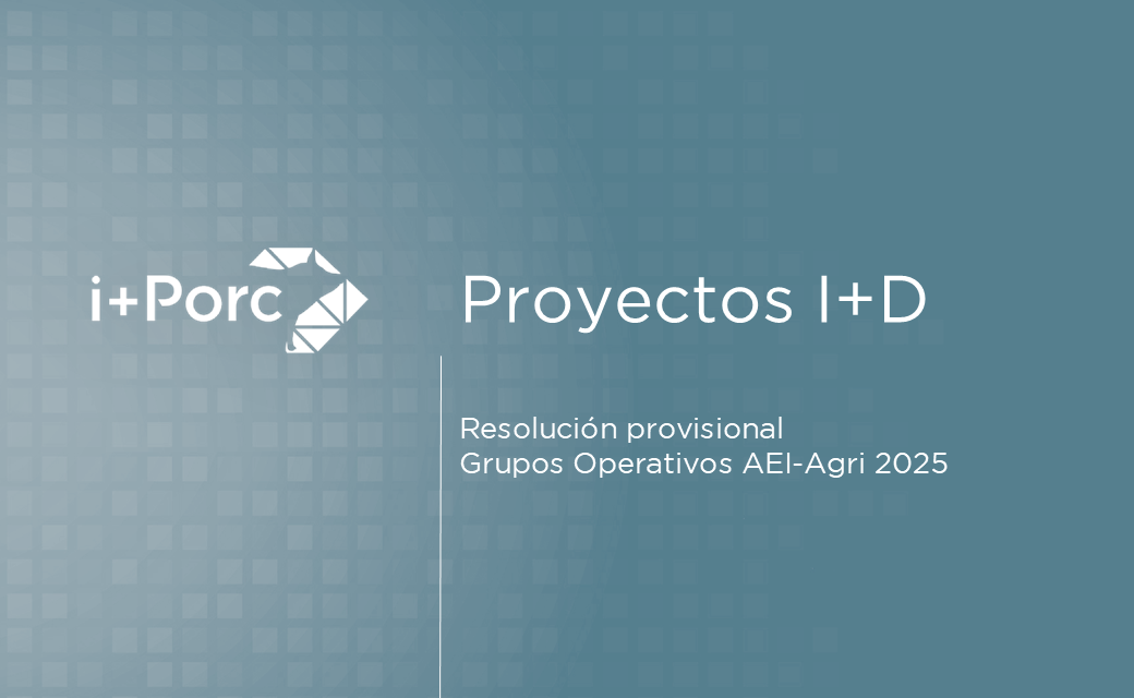 i+porc Cluster español de productores de ganado porcino