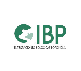 i+porc Cluster español de productores de ganado porcino