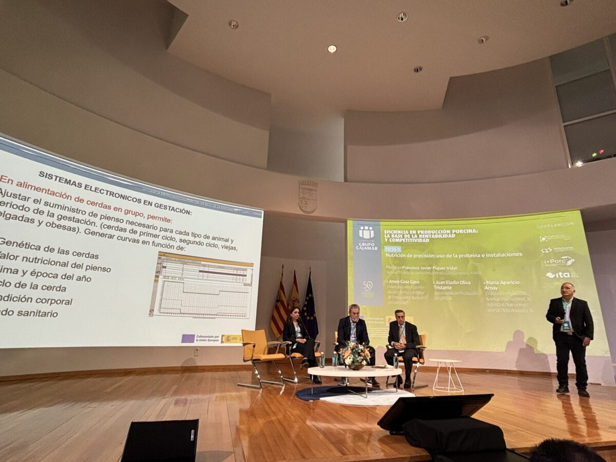 i+porc Cluster español de productores de ganado porcino i+porc Cluster español de productores de ganado porcino